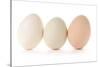 Three Eggs on White Background-Matt Freedman-Stretched Canvas