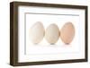 Three Eggs on White Background-Matt Freedman-Framed Photographic Print