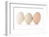 Three Eggs on White Background-Matt Freedman-Framed Photographic Print