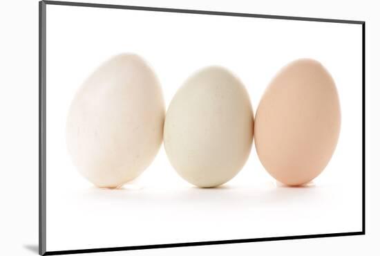 Three Eggs on White Background-Matt Freedman-Mounted Photographic Print