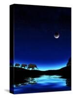Three Elephants Walking Past Water-Mike Agliolo-Stretched Canvas