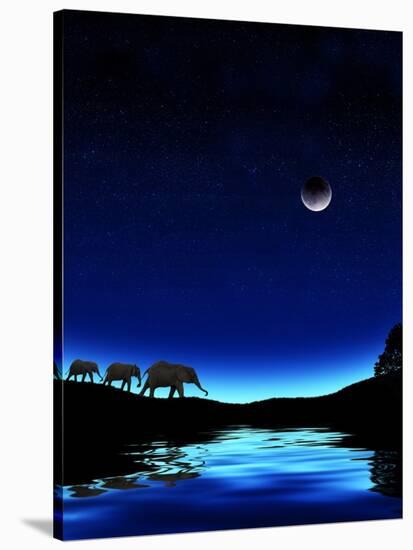 Three Elephants Walking Past Water-Mike Agliolo-Stretched Canvas