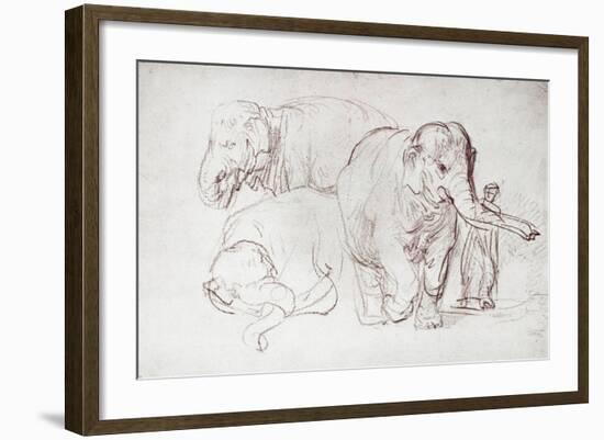 Three Elephants-Rembrandt van Rijn-Framed Giclee Print