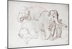 Three Elephants-Rembrandt van Rijn-Mounted Giclee Print