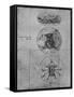 'Three Emblems', c1480 (1945)-Leonardo Da Vinci-Framed Stretched Canvas