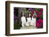 Three English springer spaniels, Connecticut, USA-Lynn M. Stone-Framed Photographic Print