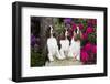 Three English springer spaniels, Connecticut, USA-Lynn M. Stone-Framed Photographic Print