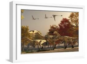 Three Eudimorphodons Fly Above a Group of Coelophysis in an Autumn Forest-Stocktrek Images-Framed Art Print