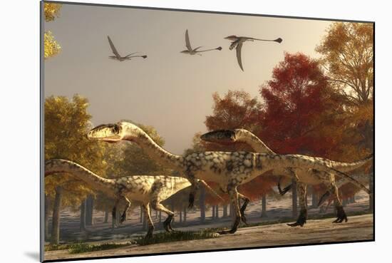 Three Eudimorphodons Fly Above a Group of Coelophysis in an Autumn Forest-Stocktrek Images-Mounted Art Print