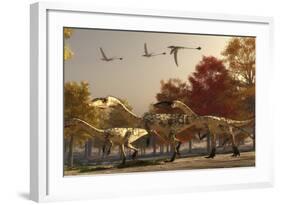 Three Eudimorphodons Fly Above a Group of Coelophysis in an Autumn Forest-Stocktrek Images-Framed Art Print