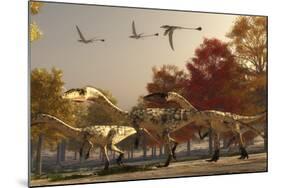 Three Eudimorphodons Fly Above a Group of Coelophysis in an Autumn Forest-Stocktrek Images-Mounted Art Print