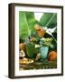 Three Exotic Cocktails-Jean-paul Boyer-Framed Photographic Print