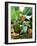 Three Exotic Cocktails-Jean-paul Boyer-Framed Photographic Print