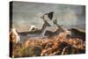 Three Fallow Deer Make a Dash Through the Forest at Sunrise in Richmond Park-Alex Saberi-Stretched Canvas