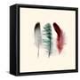 Three Feather Study 1-Evangeline Taylor-Framed Stretched Canvas