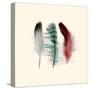 Three Feather Study 1-Evangeline Taylor-Stretched Canvas