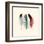 Three Feather Study 1-Evangeline Taylor-Framed Art Print