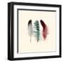 Three Feather Study 1-Evangeline Taylor-Framed Art Print