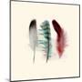 Three Feather Study 1-Evangeline Taylor-Mounted Art Print