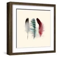 Three Feather Study 1-Evangeline Taylor-Framed Art Print