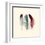 Three Feather Study 1-Evangeline Taylor-Framed Art Print