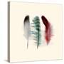 Three Feather Study 1-Evangeline Taylor-Stretched Canvas