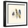 Three Feather Study 2-Evangeline Taylor-Framed Art Print