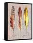 Three Feathers II-Gregory Gorham-Framed Stretched Canvas