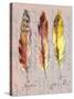 Three Feathers II-Gregory Gorham-Stretched Canvas