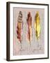 Three Feathers II-Gregory Gorham-Framed Art Print