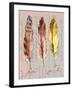 Three Feathers II-Gregory Gorham-Framed Art Print