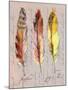Three Feathers II-Gregory Gorham-Mounted Art Print