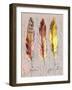 Three Feathers II-Gregory Gorham-Framed Art Print