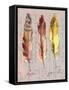 Three Feathers II-Gregory Gorham-Framed Stretched Canvas