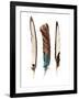 Three Feathers-Incado-Framed Photographic Print