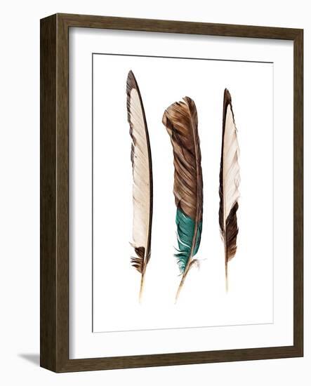Three Feathers-Incado-Framed Photographic Print