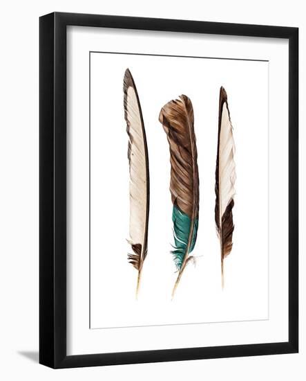 Three Feathers-Incado-Framed Photographic Print