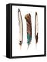 Three Feathers-Incado-Framed Stretched Canvas