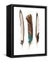 Three Feathers-Incado-Framed Stretched Canvas