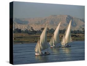 Three Feluccas Sailing on the River Nile, Egypt, North Africa, Africa-Thouvenin Guy-Stretched Canvas
