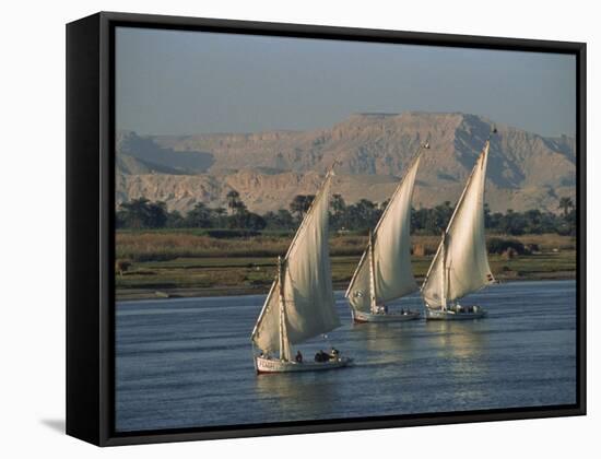 Three Feluccas Sailing on the River Nile, Egypt, North Africa, Africa-Thouvenin Guy-Framed Stretched Canvas