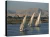 Three Feluccas Sailing on the River Nile, Egypt, North Africa, Africa-Thouvenin Guy-Stretched Canvas