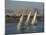 Three Feluccas Sailing on the River Nile, Egypt, North Africa, Africa-Thouvenin Guy-Mounted Photographic Print