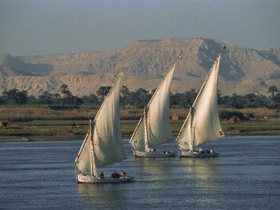 https://imgc.allpostersimages.com/img/posters/three-feluccas-sailing-on-the-river-nile-egypt-north-africa-africa_u-L-P7V6RW0.jpg?artPerspective=n