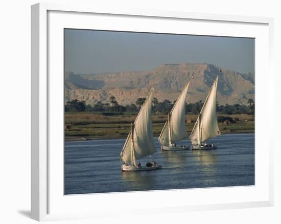 Three Feluccas Sailing on the River Nile, Egypt, North Africa, Africa-Thouvenin Guy-Framed Photographic Print