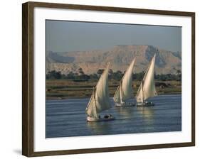 Three Feluccas Sailing on the River Nile, Egypt, North Africa, Africa-Thouvenin Guy-Framed Photographic Print