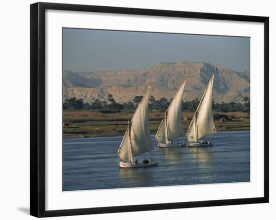 Three Feluccas Sailing on the River Nile, Egypt, North Africa, Africa-Thouvenin Guy-Framed Photographic Print