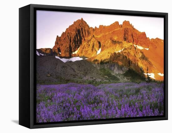Three Fingered Jack Mountain-Steve Terrill-Framed Stretched Canvas