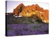 Three Fingered Jack Mountain-Steve Terrill-Stretched Canvas