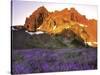 Three Fingered Jack Mountain-Steve Terrill-Stretched Canvas